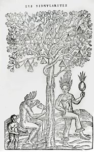 娜娜逃离，药用植物，来自法国南极洲奇点的插图，作者：Andre de Thevet，1558 作者 法语学校