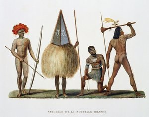 来自环球旅行的新爱尔兰原住民，由1822年，1823年，1824年和1825年的国王陛下克尔维特，壳牌执行，由路易斯·伊西多尔·杜佩里（1786-1818）执行 作者 法语学校