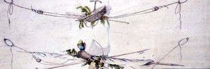 带鹦鹉的航海卡图设计，约1800年（纸上水彩画） 作者 法语学校