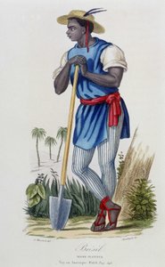 Nègre planteur du Brasil - in “” Bibliotheque Universelle des Voyages”” by Albert-Montémont, ed. Armand-Aubrée, Paris 作者 法语学校