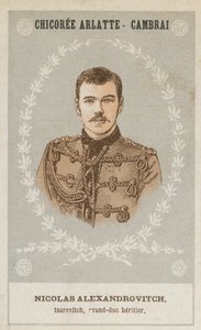 Nicolas Alexandrovitch，tsarevitch，grand-duc heritier 作者 法语学校