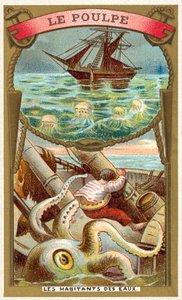 Octopus (chromolitho) 作者 法语学校