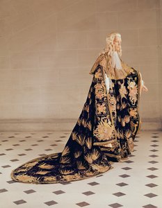 官方长袍的法国骑士圣骑士（天鹅绒和贵金属刺绣）骑士 作者 法语学校