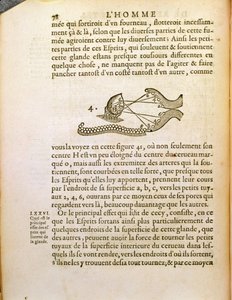 光学图，来自Rene Descartes的De Homine Figuris（1596-1650）于1662年在海牙出版 作者 法语学校