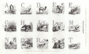 来自 Vignettes Typographiques 的页面（雕刻） 作者 法语学校