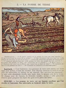 来自学校教科书的页面，说明了马铃薯的栽培，c.1910 作者 法语学校