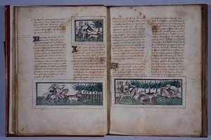第57和58页，来自Le Livre du Roy Modus et de la Royne Racio，作者：Henri de Ferrieres，c.1420（笔和墨水，纸上写着） 作者 法语学校