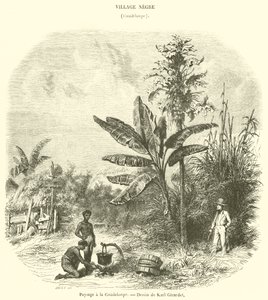 瓜德罗普岛的风景（雕刻） 作者 法语学校