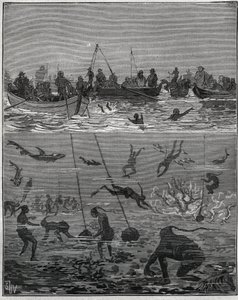Pearl peachers in Ceylon (present-day Sri Lanka) in the 19th century. Engraving from 1885 in “” Les arts et metiers illustres”” by Adolphe BITARD. 作者 法语学校