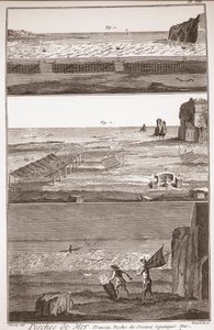 Peche de Mer - Trameau - Waterbird Fishing - “” The Great Encyclopedie, ou Dictionnaire Raisonne des Sciences, des Arts et des Metiers” (Encyclopedia or Dictionary of the Sciences, Arts and Professions) by Denis Diderot (1713-1784) and Jean d