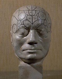 Jean Martin Charcot的颅相学负责人（陶瓷） 作者 法语学校