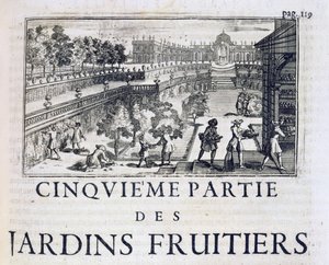 由完美园丁种植果树，或由Jean de la Quintinye设计的果园和菜园指示，于1695年出版 作者 法语学校