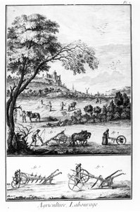 Plate of the Encyclopedia of Diderot and Alembert: Agriculture and Ploughing. 18th century. 作者 法语学校