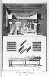 Plate representing a tobacco factory. Manufacture de Tabac - L