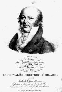 Stephen Geoffroy Saint-Hilaire的肖像（1722-1844） 作者 法语学校