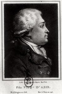 Felix Vicq dAzyr的肖像（1748-94） 作者 法语学校