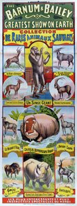 海报广告为巴纳姆和贝利马戏团收集de Rares Animaux Sauvages