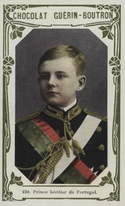 Prince heritier de Portugal（彩色照片） 作者 法语学校