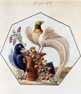 Alexandre Brongniart (1770-1847)的瓷器中的鸟类表项目。1810年 塞夫勒，塞夫勒制造厂档案馆 作者 法语学校