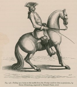 在Snaffle上拉起一匹马（来自Manege moderne dans sa完美，由Baron dEisenberg，由Bernard Picart雕刻，1727年） 作者 法语学校