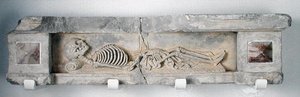 从墓中救济 作者 法语学校