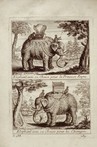 皇家大象，1688年来自Guy Tachard的Voyage du Siam des Peres Jesuites 作者 法语学校