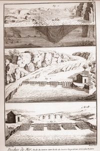 三文鱼捕捞技术--丹尼斯-狄德罗（1713-1784）和让-达朗贝尔（1717-1783）的《科学、艺术和职业百科全书或词典》。 作者 法语学校