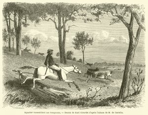 Squatter rassemblant ses troupeaux (engraving) 作者 法语学校