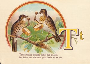 T：手鼓人尽善尽美，这些手风琴吸引人的耳朵和眼睛 作者 法语学校