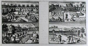 打理花园，摘自Jean de La Quintinye的《The Compleat Gard