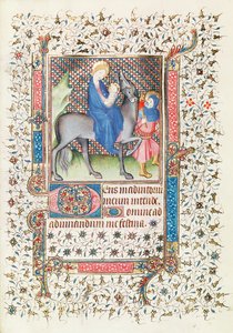 从Heures dAnne de Mathefelon飞往埃及的航班 作者 法语学校