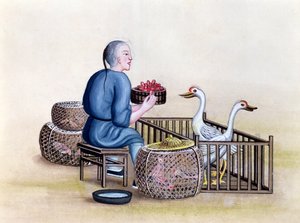 The Poultry Merchant，来自北京街头电话的书，1785年（纸上用水粉和水粉） 作者 法语学校