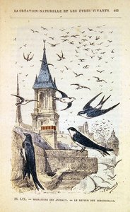 燕子的回归。约1880年（彩色版画）。 作者 法语学校
