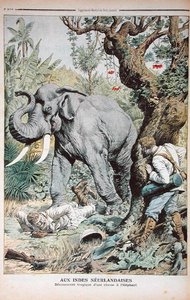 印度大象狩猎的悲惨结局，来自Le Petit Journal的插图，1906年11月25日 作者 法语学校
