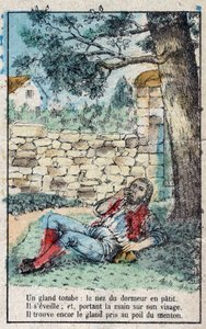 橡子和南瓜。Jean de La Fontaine (1621-95)的寓言。19世纪末的埃皮纳尔影像。 作者 法语学校