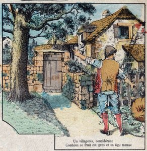 橡子和南瓜。Jean de La Fontaine (1621-95)的寓言。19世纪末的埃皮纳尔影像。 作者 法语学校