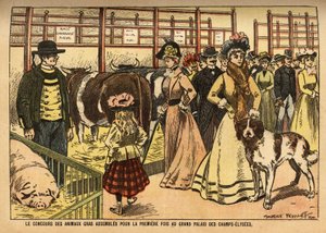 牛、绵羊、猪和其他科的肥育动物比赛首次在香榭丽舍大街大皇宫的大礼堂里举行。 作者 法语学校