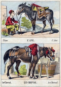 驴和马。 雕刻“Buffon Alphabet des Animaux”。第三系列 N 1。Epinal，Epinal，19 世纪后期的成像。16 页。尺寸：28x21cm 作者 法语学校