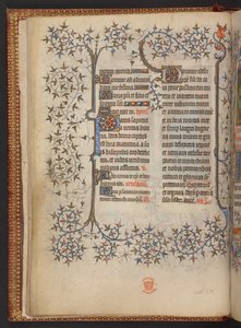 《十字架时刻》的第一页，《时刻之书》，Add MS 32454 f.8v，法国 作者 法语学校