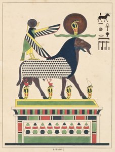 神Amon-Ra，来自埃及万神殿的插图：来自古埃及神话人物的集合Jean-Francois Champollion，于1986年出版 作者 法语学校