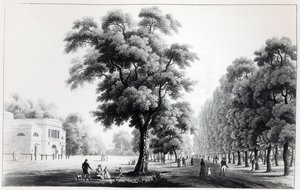 1821年，维也纳普拉特的主要大道 作者 法语学校