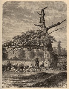 亨利四世在雷恩附近Sainte Foix的橡树--"PATRIE "中的雕刻--LUCIEN HUARD的DESCRIPTION PECTUREQUIRESSE DE LA FRANCE EN 6 VOLUES - 19世纪末 作者 法语学校