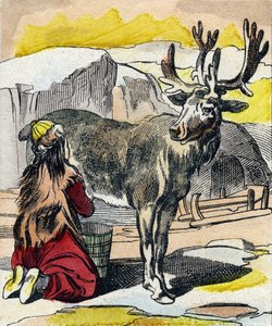 正在挤奶的驯鹿。 雕刻“Buffon Alphabet des Animaux”。第三系列 N 1。Epinal，Epinal，19 世纪后期的成像。16 页。尺寸：28x21cm 作者 法语学校