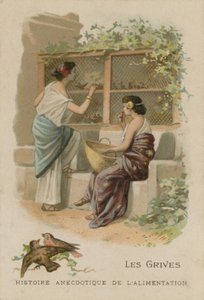 画眉 作者 法语学校