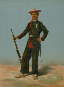 Anamile射手 作者 法语学校