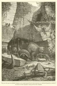 所有这些先于人类而今天从他们的坟墓中出来的生物，不都是怪物吗？ 然而，它们通过原始链接（雕刻）附在我们身上 作者 法语学校