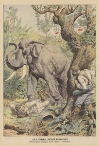 荷属东印度群岛猎大象的悲惨结局（彩色石版画） 作者 法语学校
