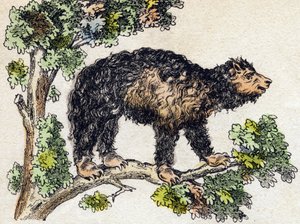 Unau (lazy). Engraving in “” Alphabet des animaux sauvages””. 9th Serie. Imagery of Epinal, Pellerin, printer-publisher, circa 1870. Engravings on wood, stencilled. 16 pages. Dim: 20 x 15 cm. Private Collection 作者 法语学校