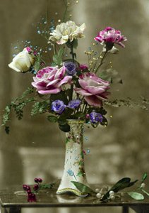 花瓶c.1898（手工彩色照片） 作者 法语学校