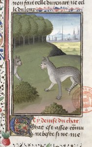 野猫，来自Gaston Phebus de Foix的狩猎书（1331-91） 作者 法语学校